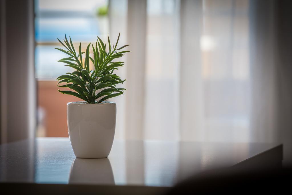 Green Olive Apartments Makarska Esterno foto
